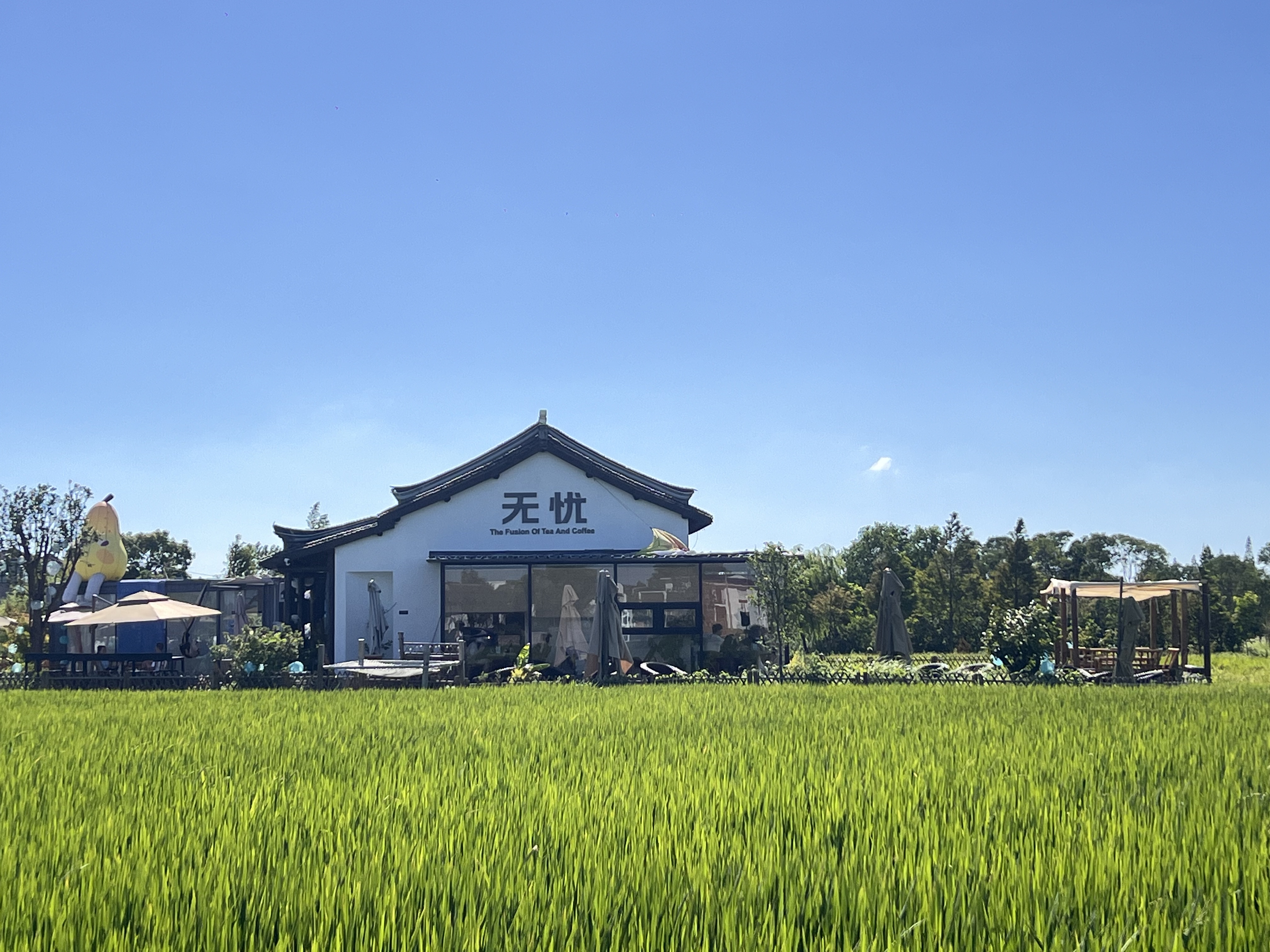 李窑村“无忧闲院”,这里也是青村镇委员读书点