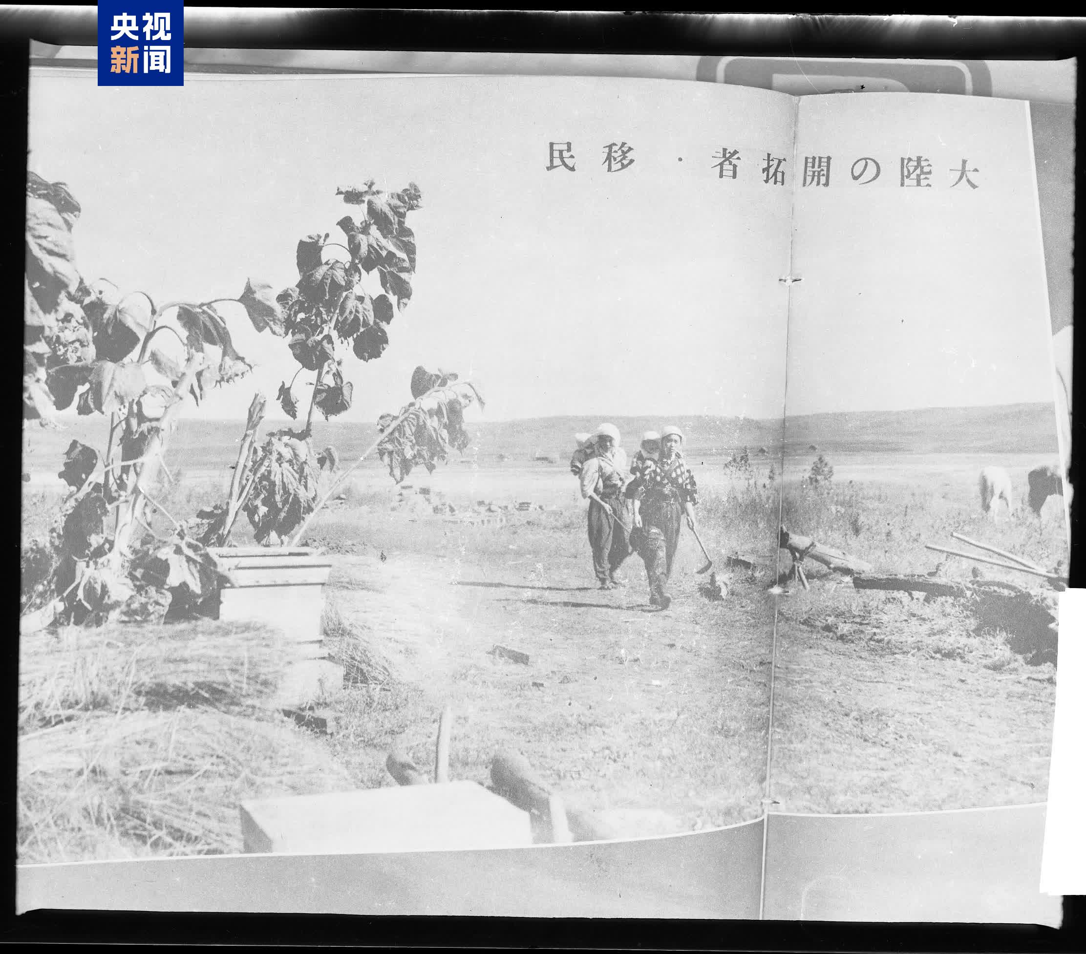 △佳木斯日本移民