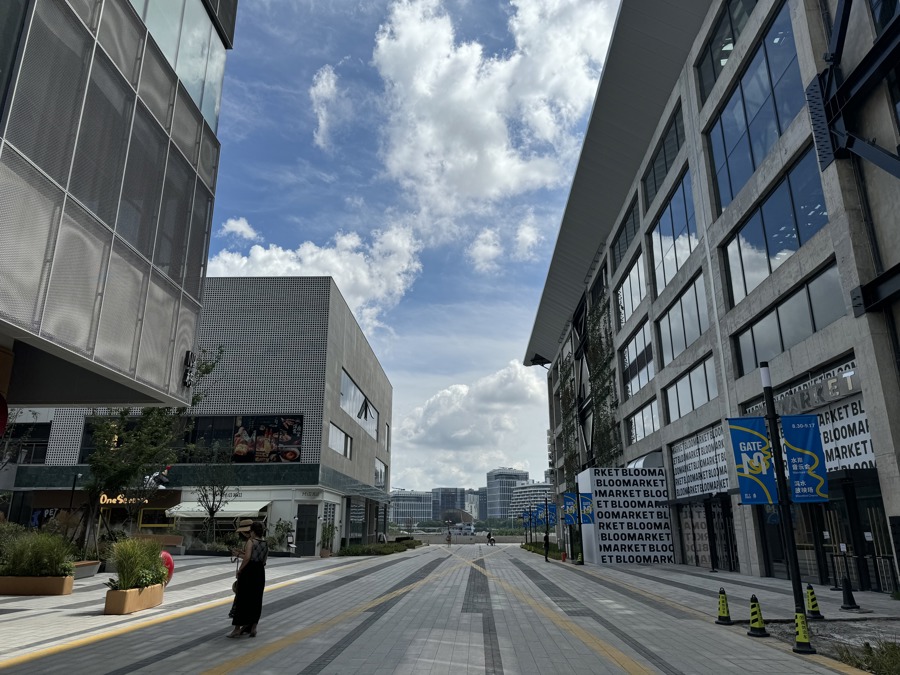 从西岸梦中心可眺望对岸前滩。