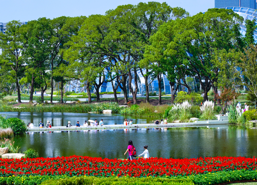 上海植物园北区。