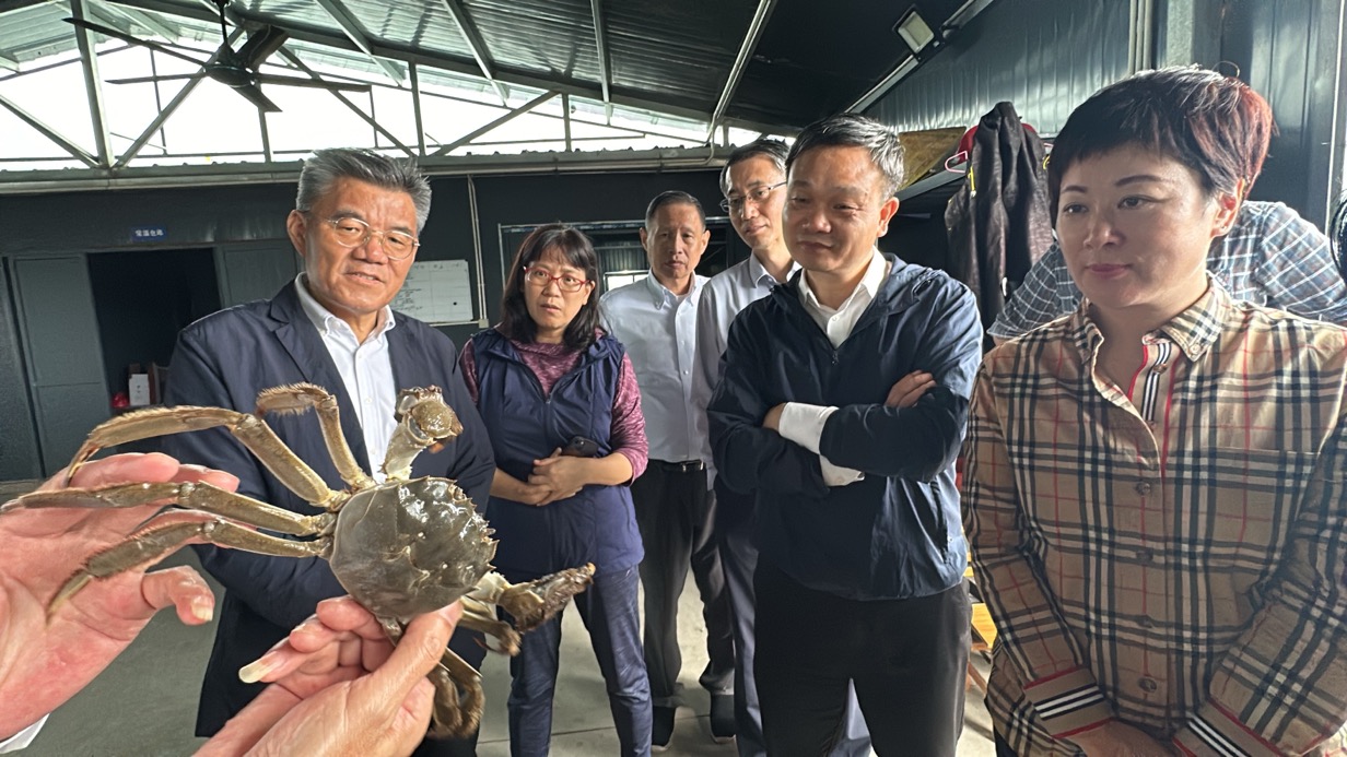 参观崇明河蟹集团裕西基地