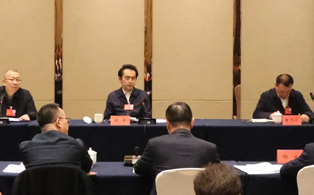 陈雍参加中共、无党派界别小组讨论。