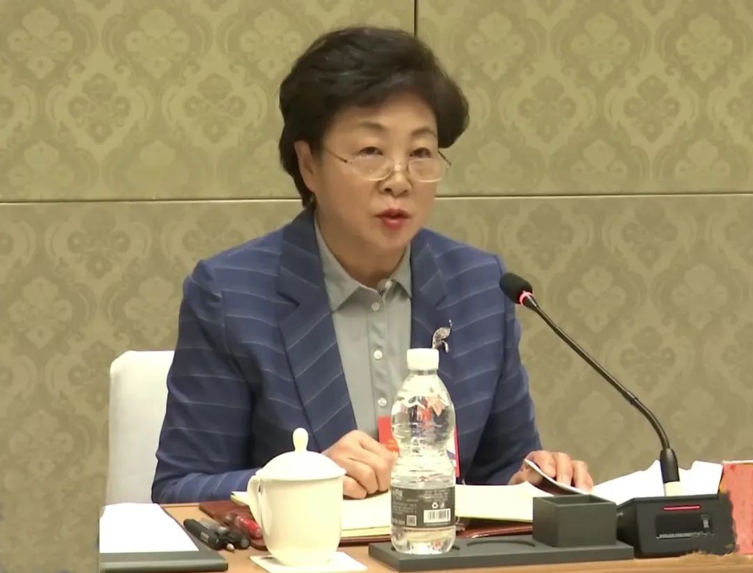 马文娟参加工会、妇联、社会福利和社会保障界别小组讨论。