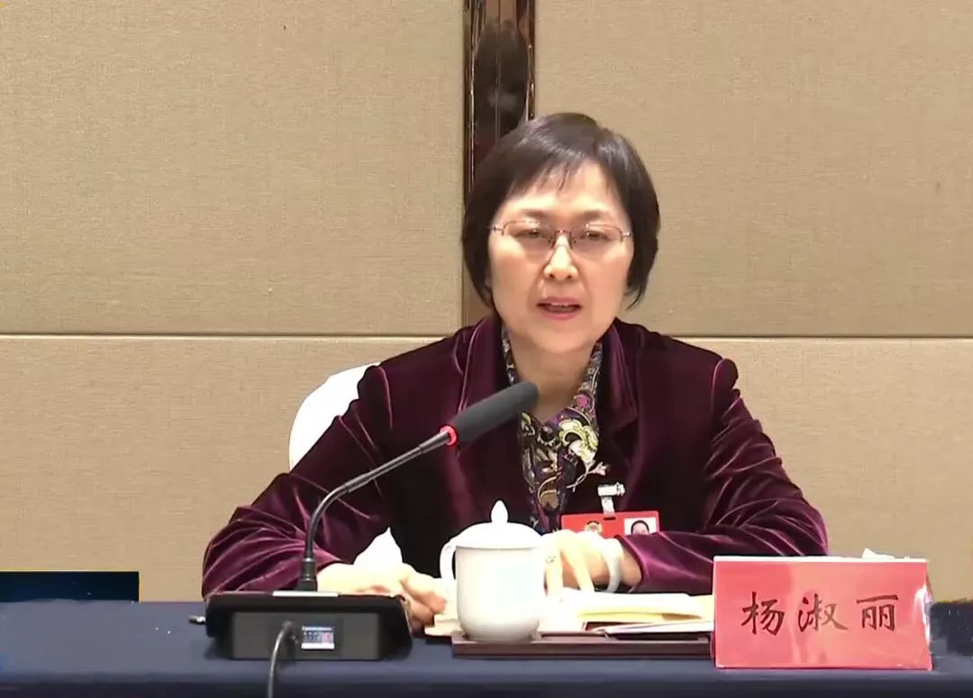 杨淑丽参加农工党、医药卫生界别小组讨论。