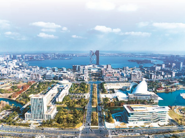 新片区成立以来新设企业超过11.5万户 受访单位供图