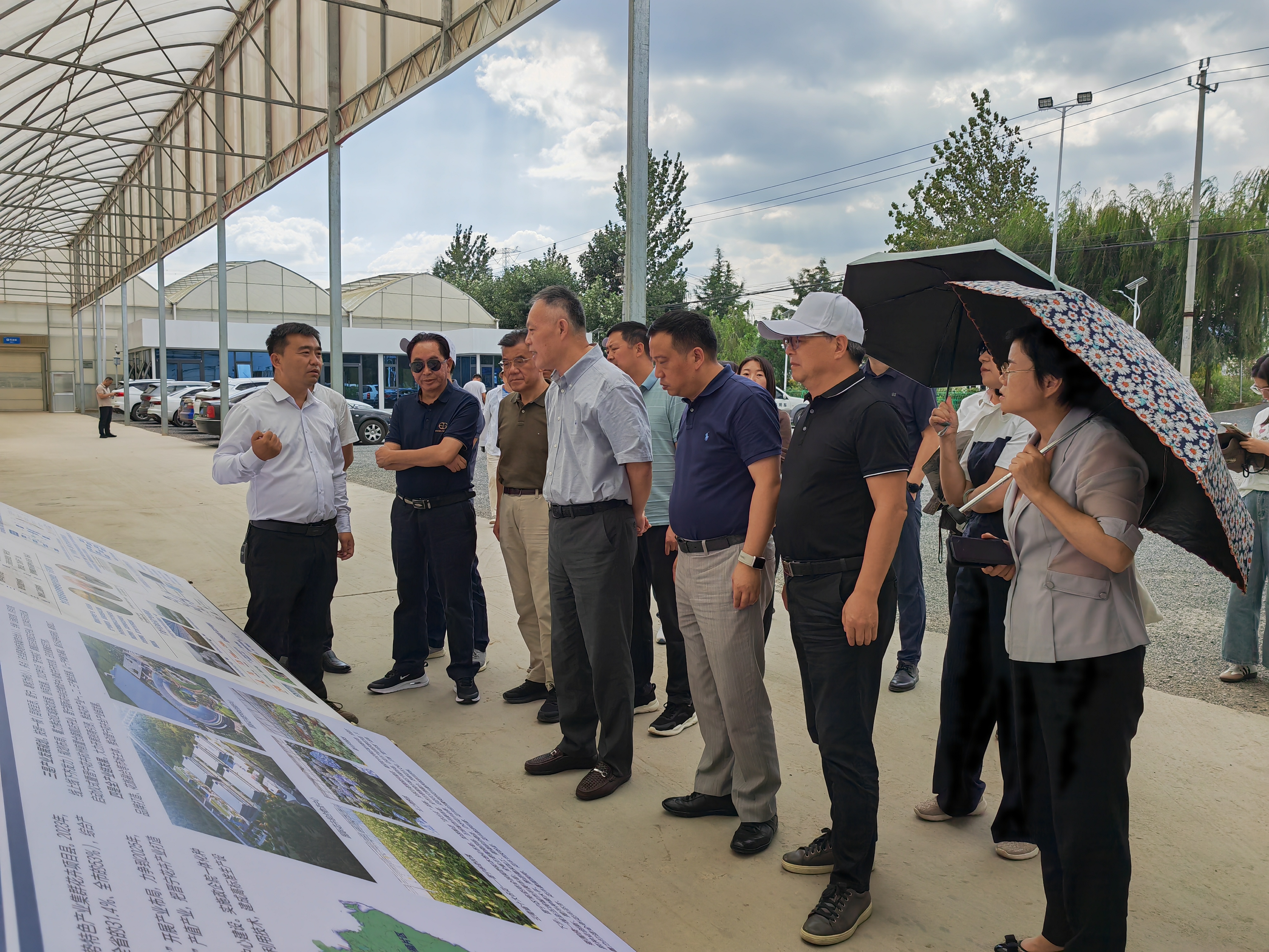 2024年上海市政协调研云天化晋宁花卉产业现代化示范园