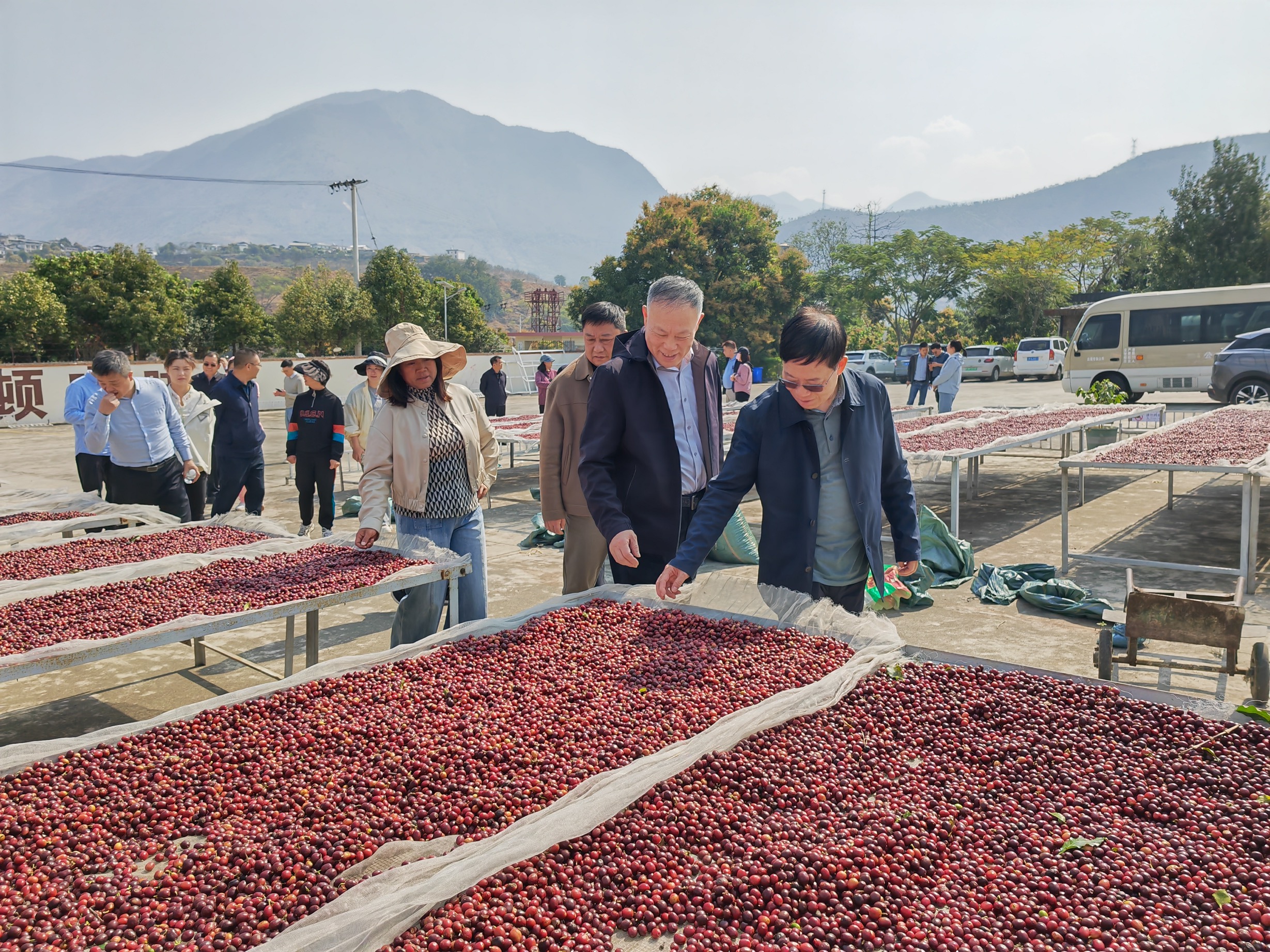 考察组在保山市潞江镇咖啡创新产业园调研