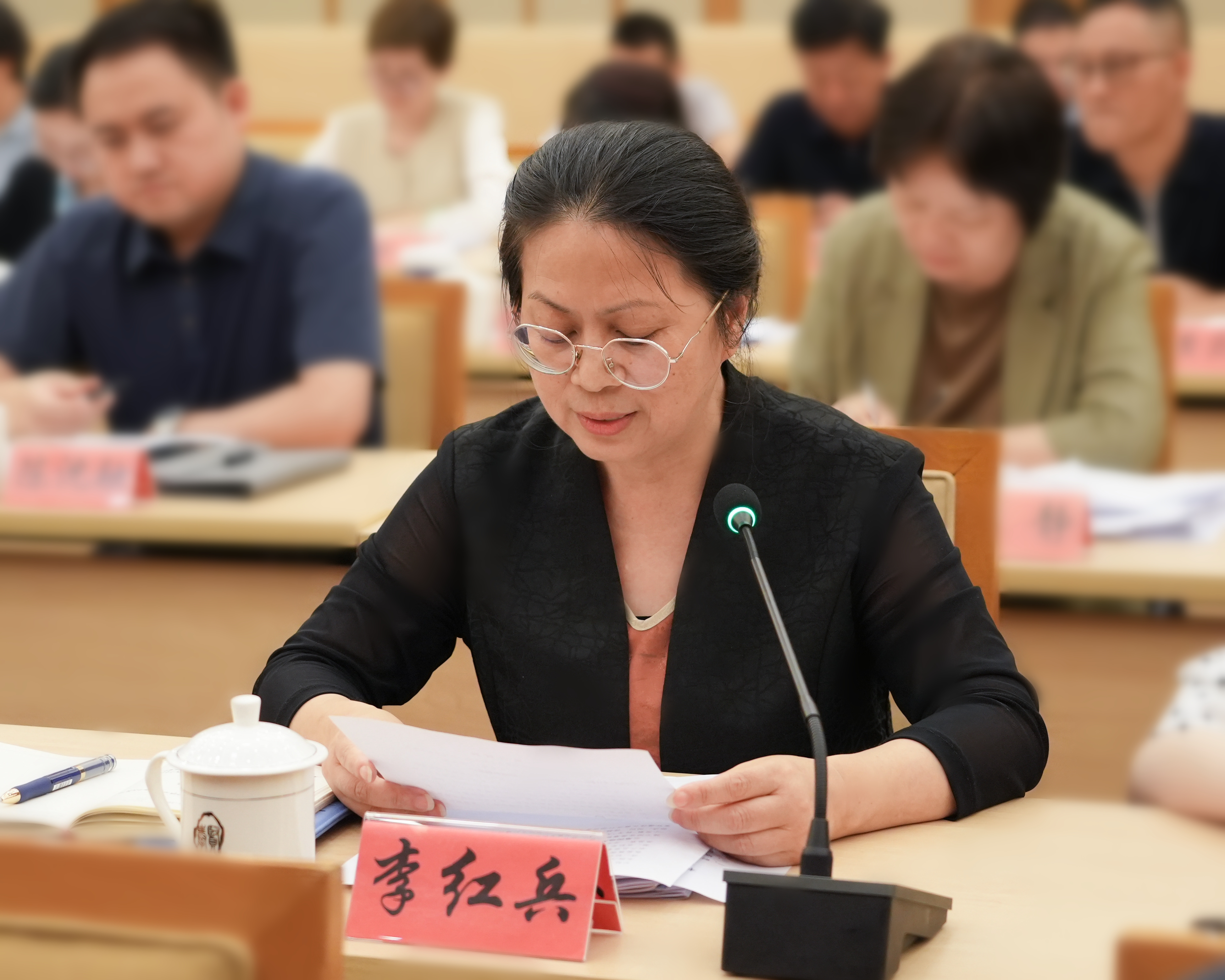 李红兵代表妇联界别在区政协常委会上作发言