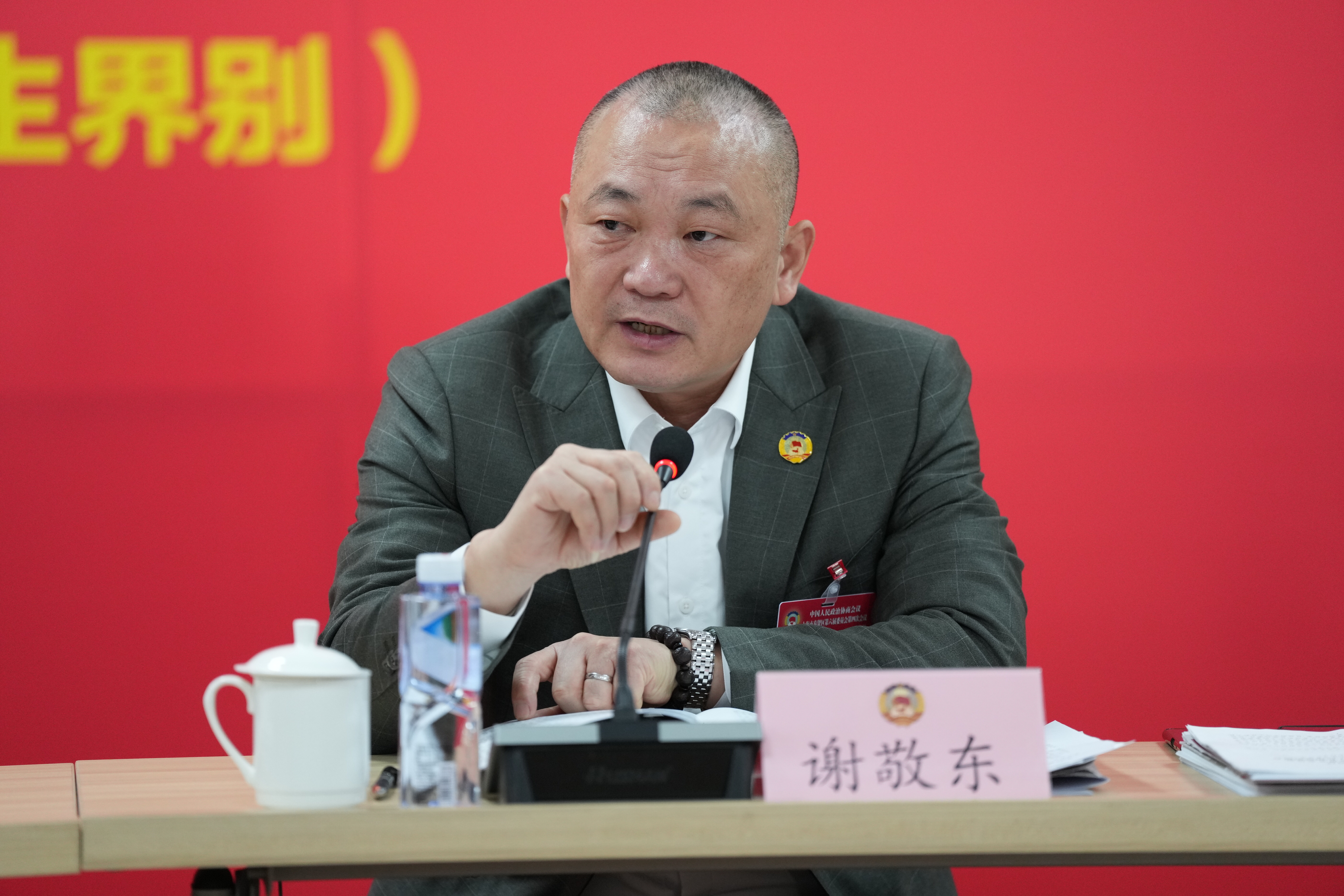 谢敬东在会议上建言