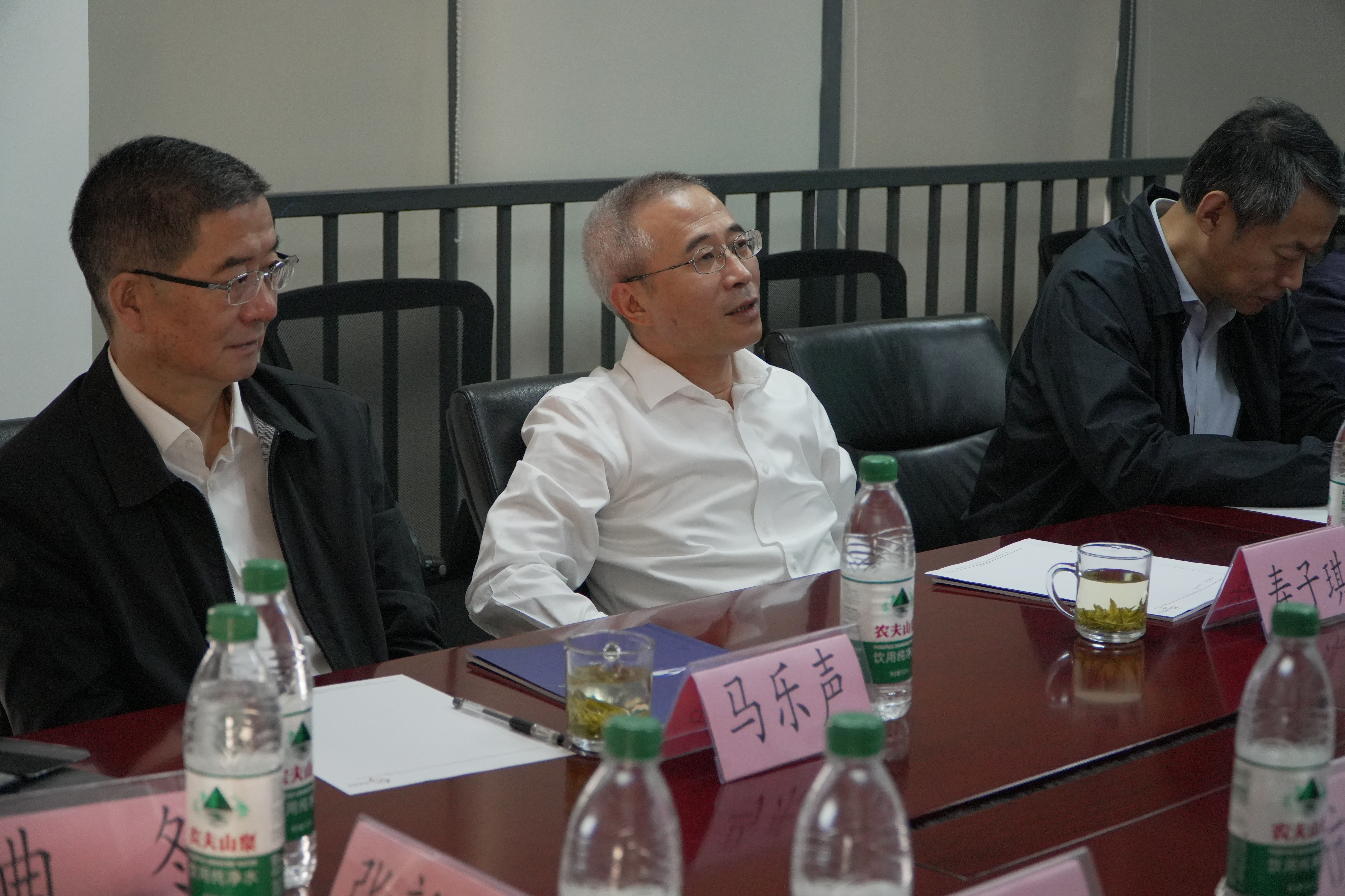 市政协副主席寿子琪讲话