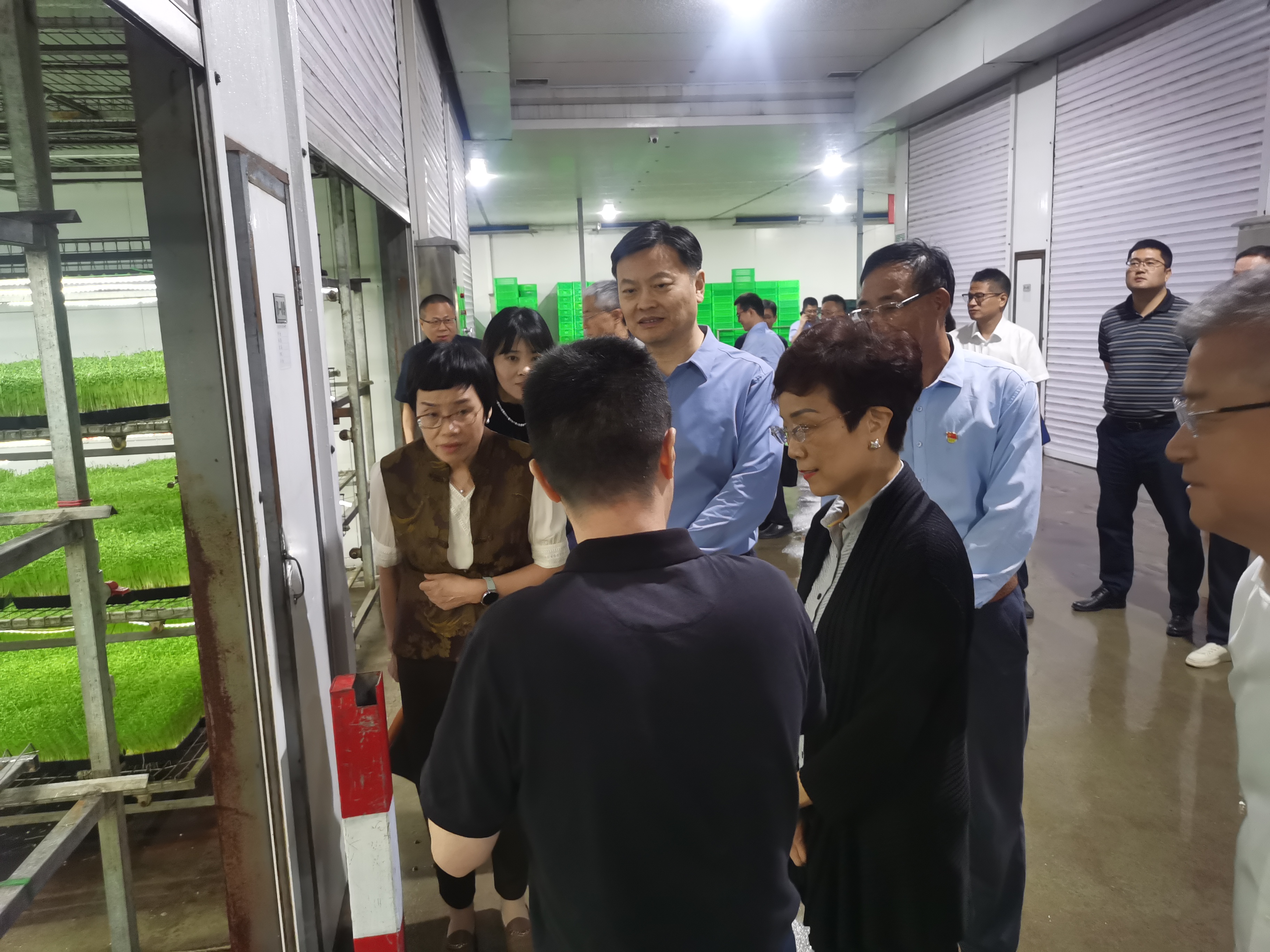 调研现场(专委会供图)