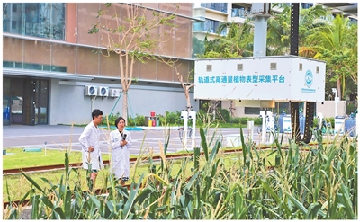 在位于海南三亚的试验田里,农业科研工作者使用轨道式高通量植物表型采集平台收集玉米性状信息。董旭摄(人民视觉)