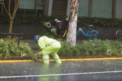 昨天,环卫工人在凉城路路边清理排水口。 张海峰 摄