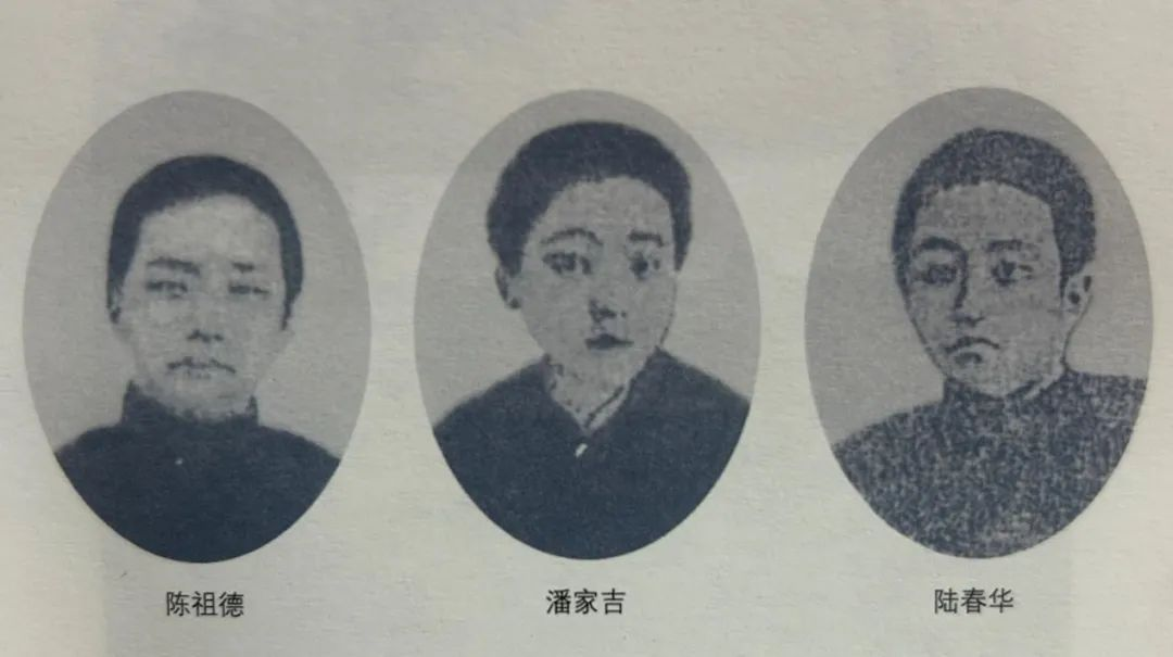 陈祖德、潘家吉和陆春华（资料图片）。