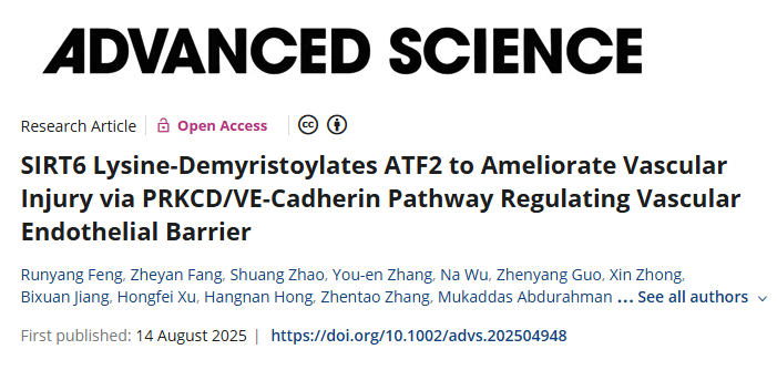 图源：Advanced Science<BR/>原文链接：https://doi.org/10.1002/advs.202504948