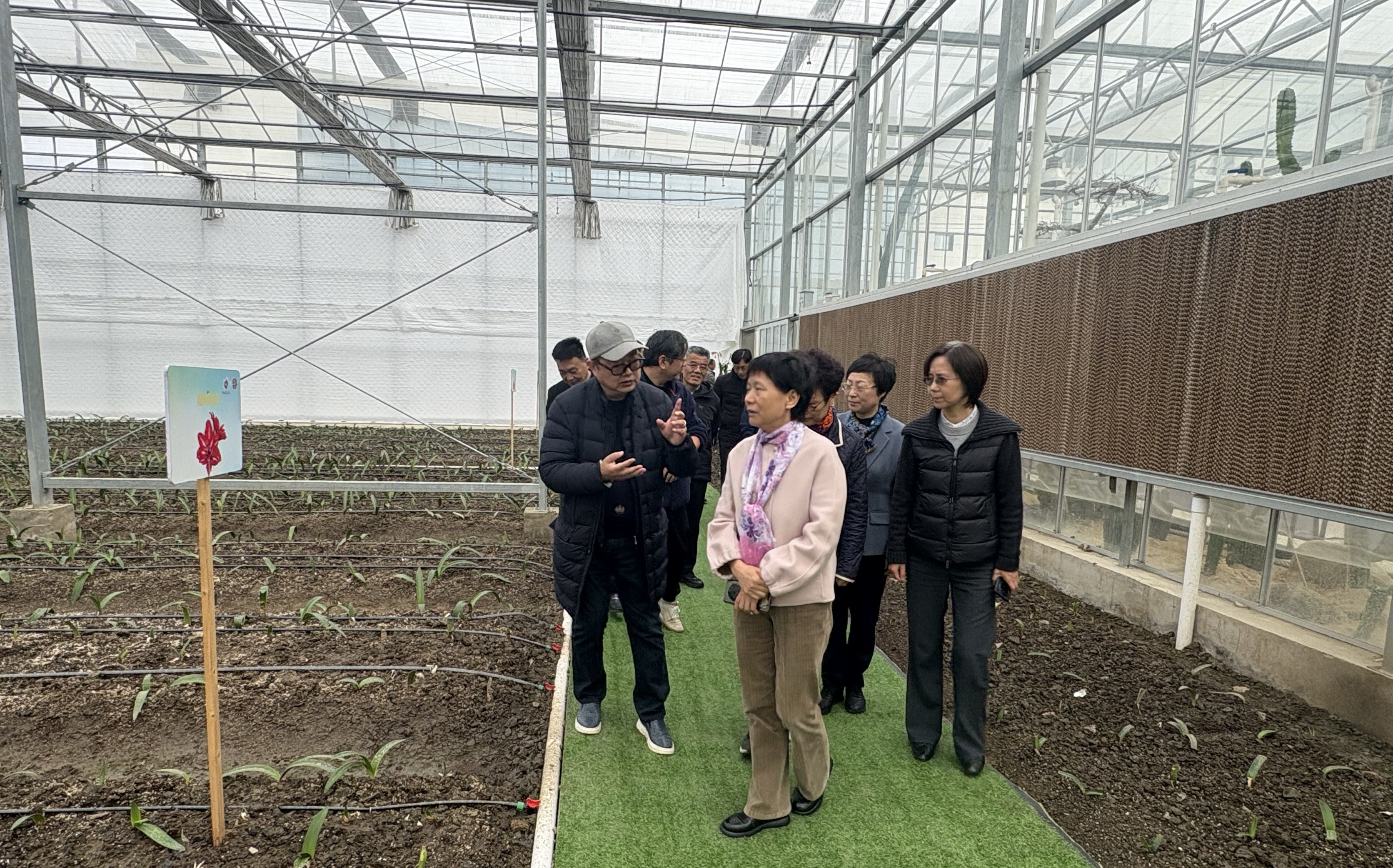 走访调研虹桥花谷