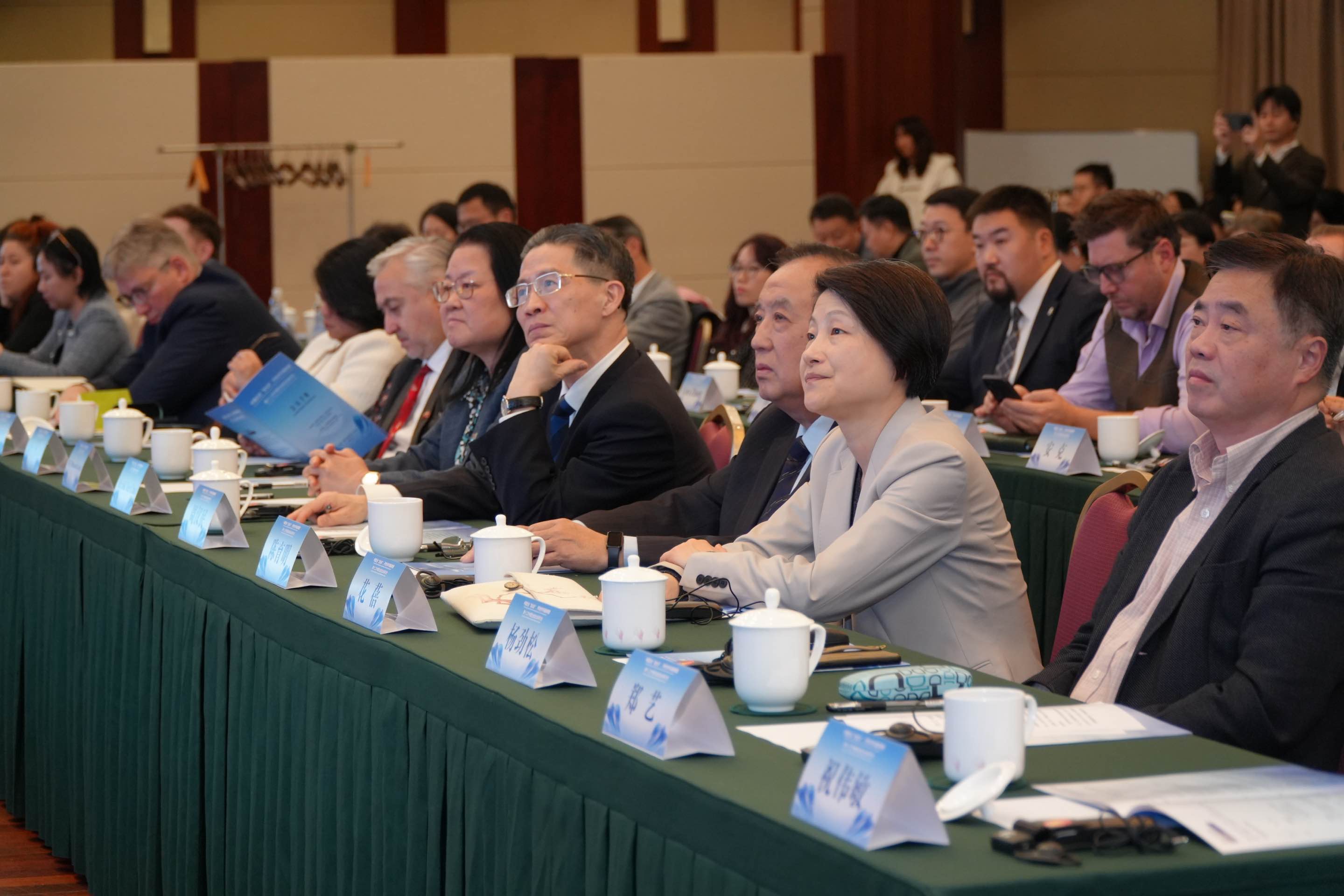 研讨会现场 张希喆摄