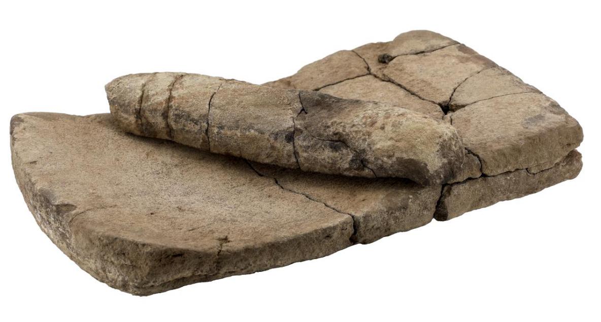 马鞍桥山遗址出土的石磨盘、石磨棒