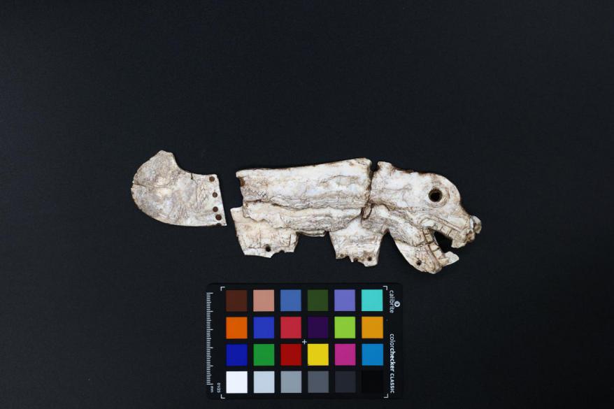 彩陶坡遗址出土蚌龙的复原图