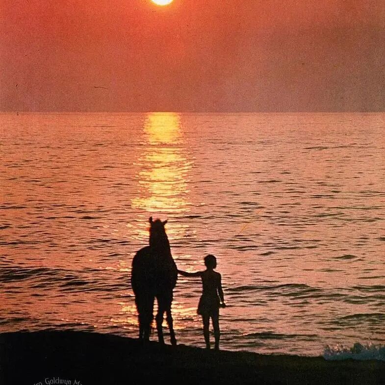 《黑神驹》<BR/>(The Black Stallion, 1979)&nbsp;