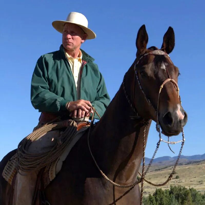 《巴克》<BR/>(Buck, 2011)&nbsp;