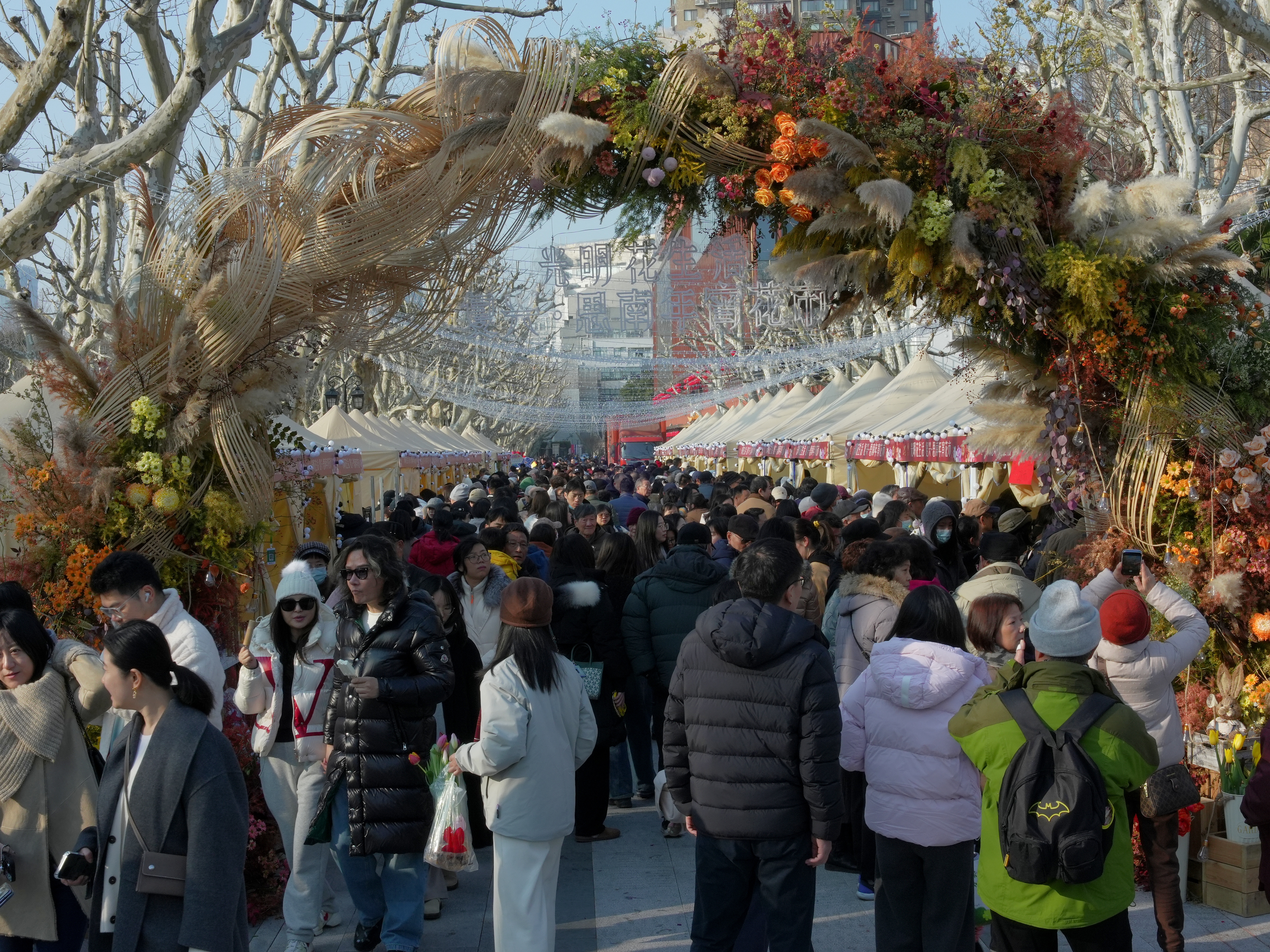 连日来，在黄浦区复兴公园举行的复兴·思南年宵花市，通过打造“沉浸式体验采摘”“花市+年货”等一众新型消费场景，吸引众多市民游客前来打卡、购物。&nbsp; 林卫平 摄