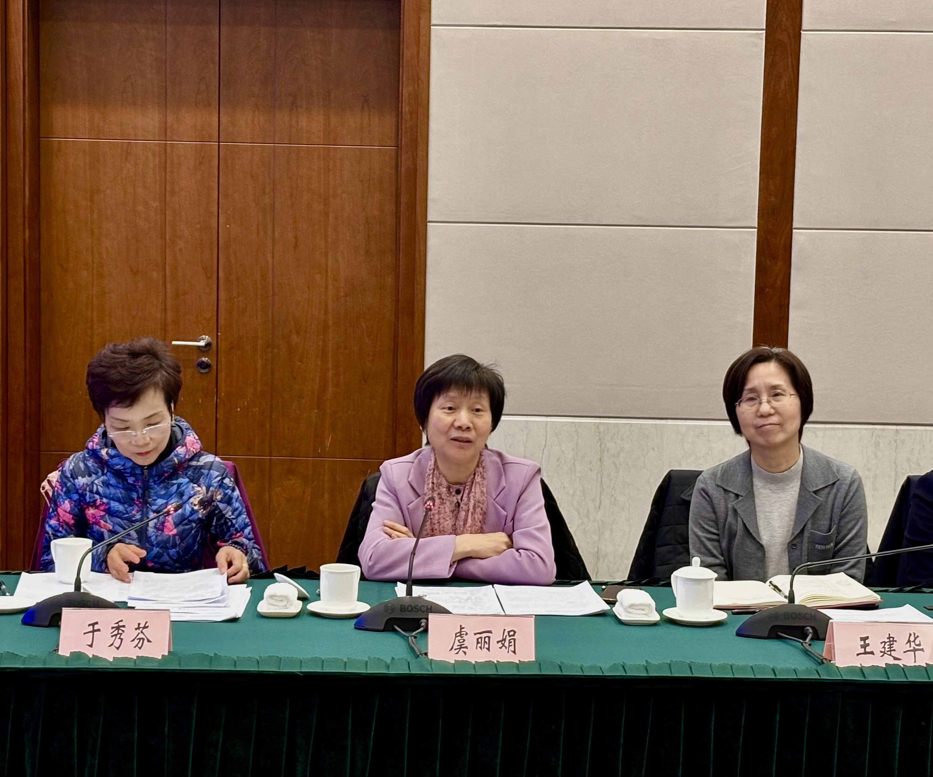 市政协副主席虞丽娟讲话