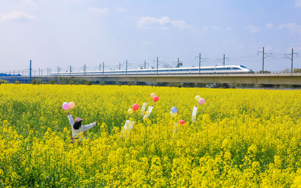 2026年2月26日，游客在四川省泸州市龙马潭区特兴街道慈竹村赏油菜花。新华社发（牟科 摄）