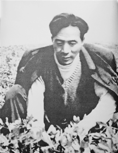 焦裕禄在花生地拔草 刘俊生 摄