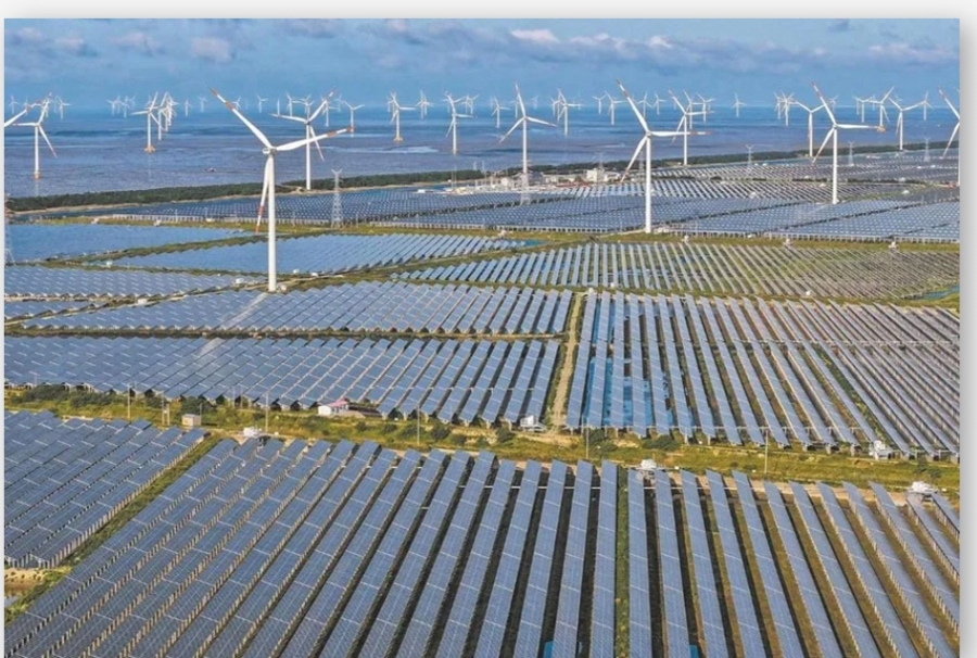 上海新能源“链式出海”狂飙。