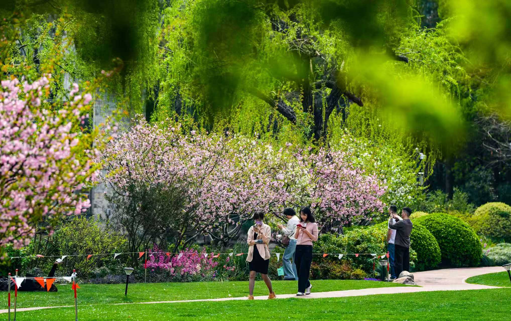 上海国际花卉节黄浦主会场&nbsp;&nbsp;黄浦区政协供图