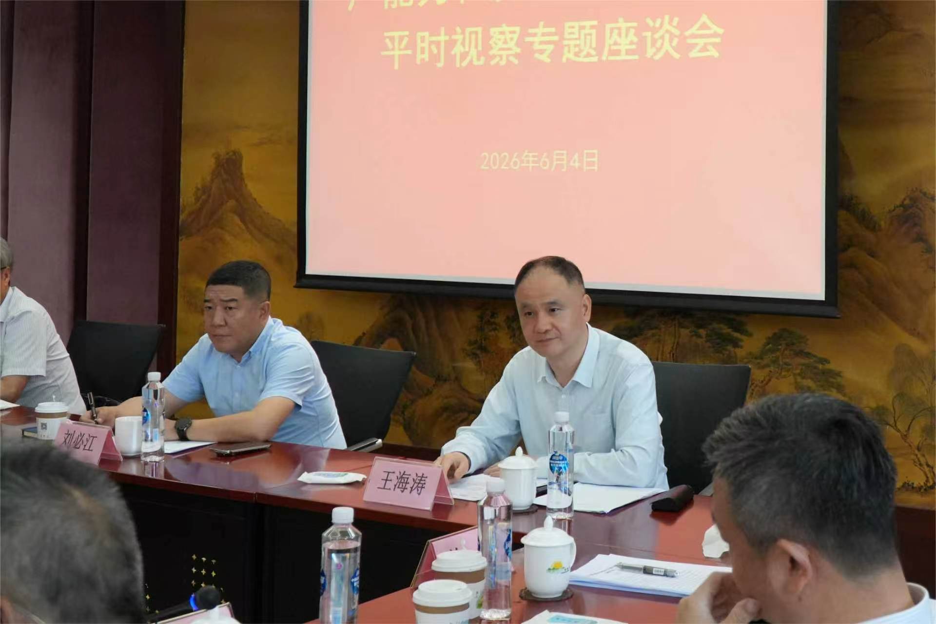 王海涛参加市政协平时视察座谈会