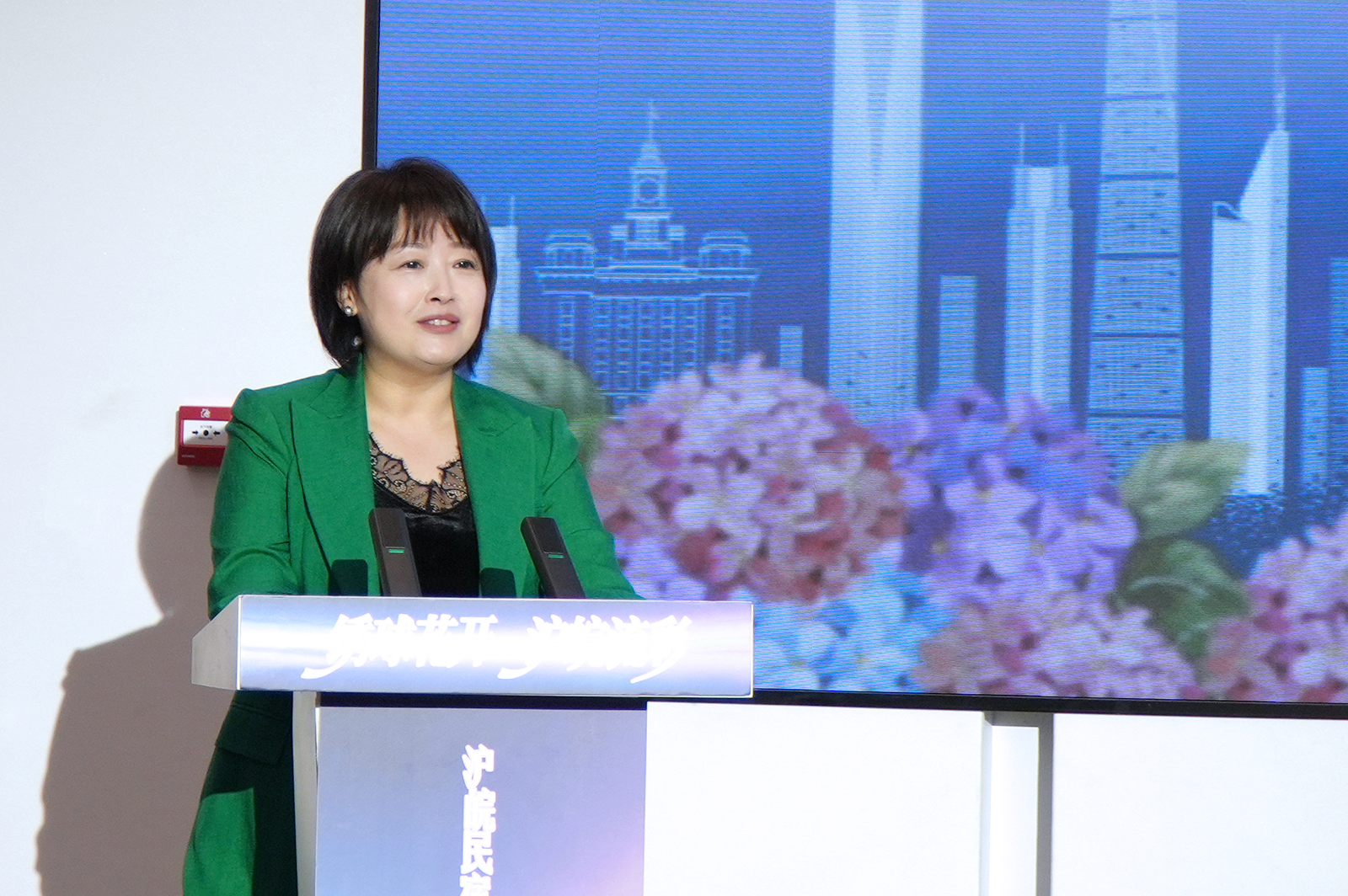 市政协委员顾慧华围绕乡村振兴实践中不同阶段的思考讲述感受