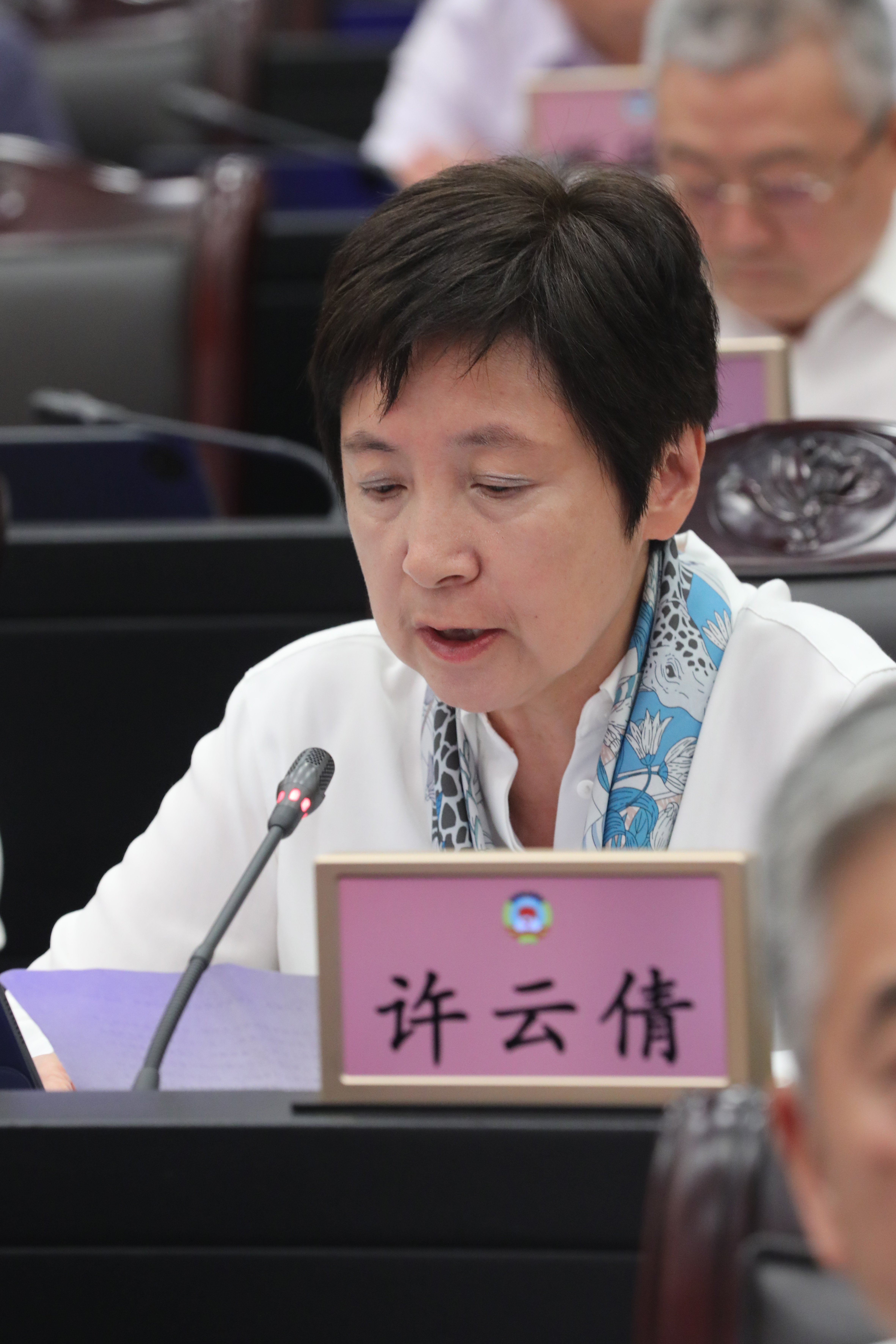 图片由金松 摄