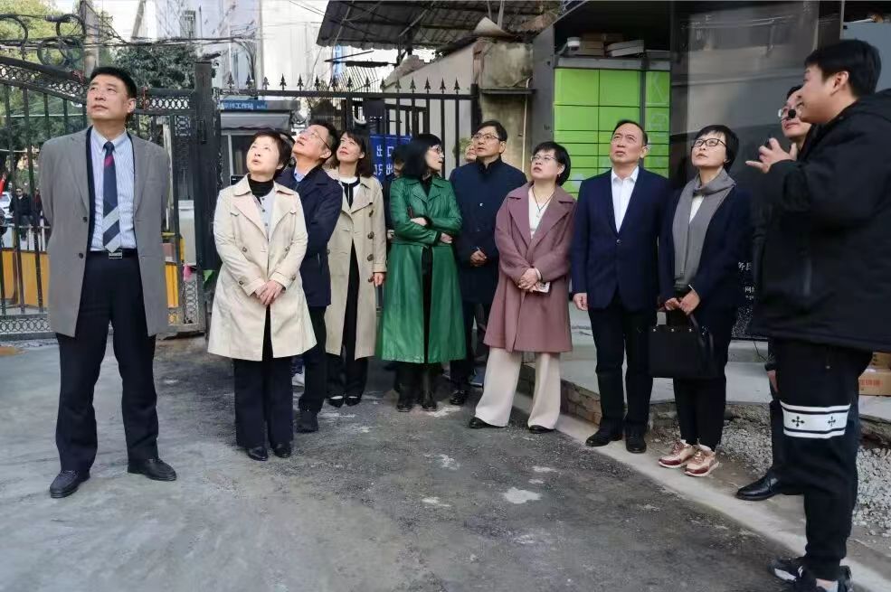 市区政协委员视察宛南六村 枫林街道政协委员工作站供图
