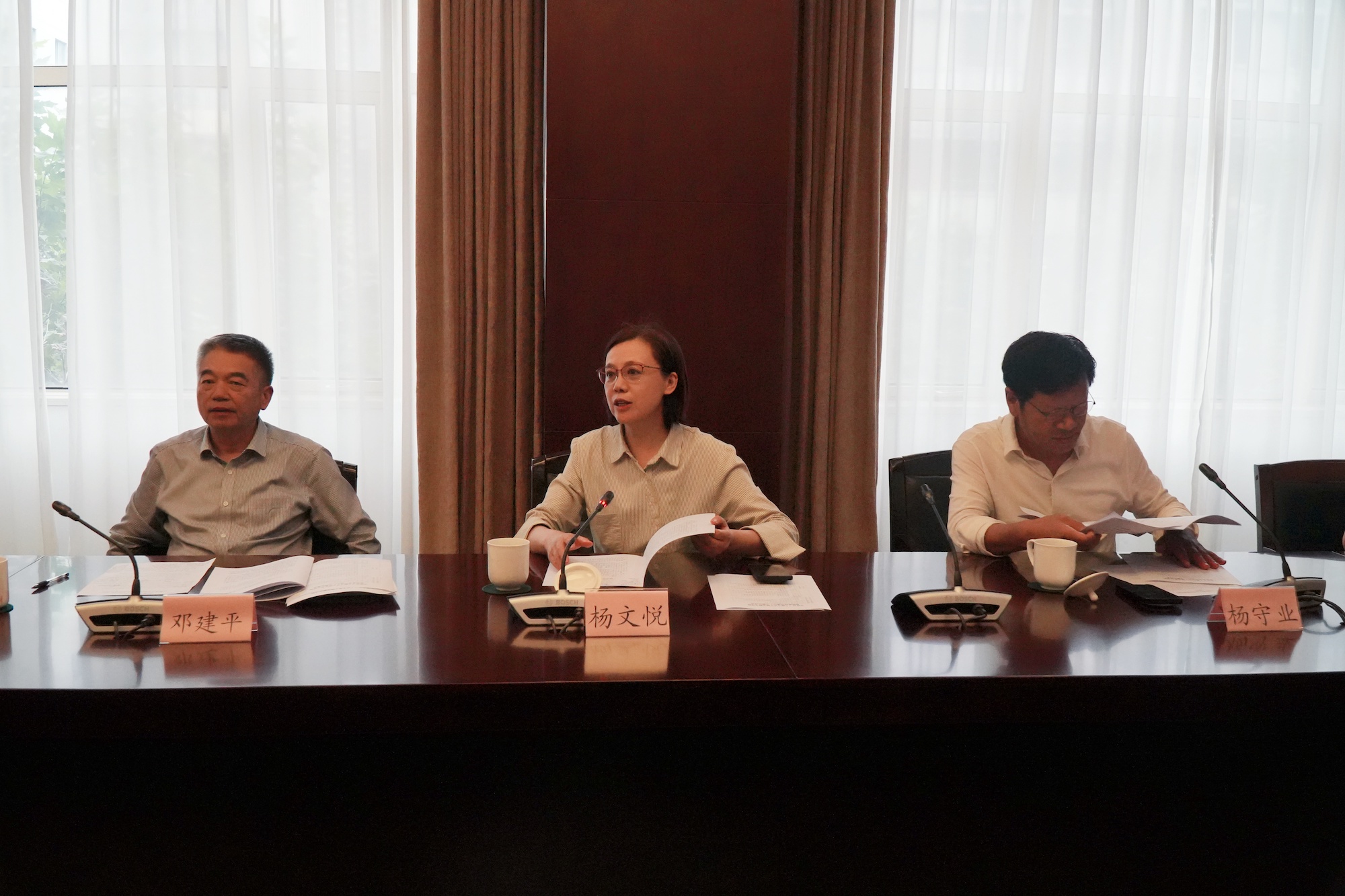 政协委员建言