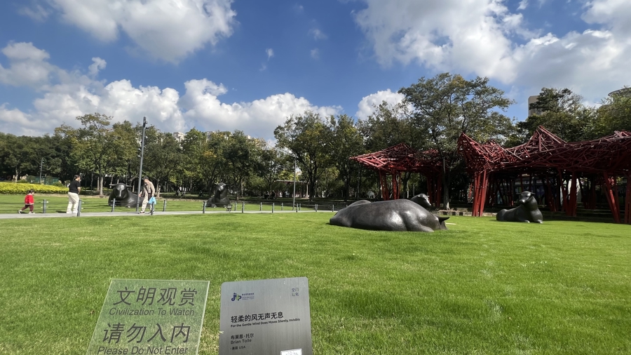 不少公园的草坪,在设计之初就定位为景观草坪 谢飞君摄