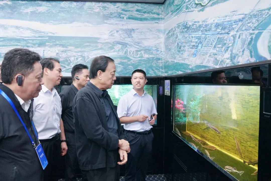 二○二三年九月,调研组一行赴宜宾金沙江溪洛渡向家坝珍稀鱼类增殖放流站调研。