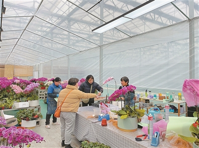 上海（松江）长三角花卉科创产业园里，顾客正在选购花卉。