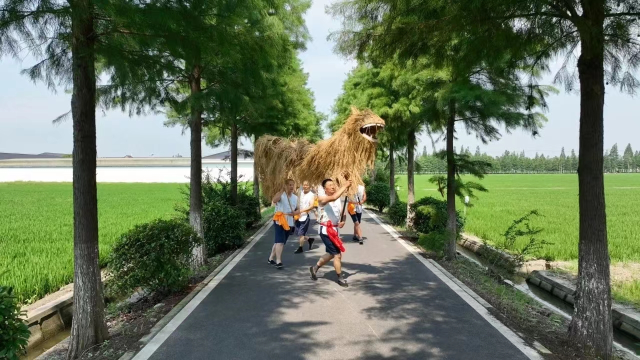 图源:上海松江