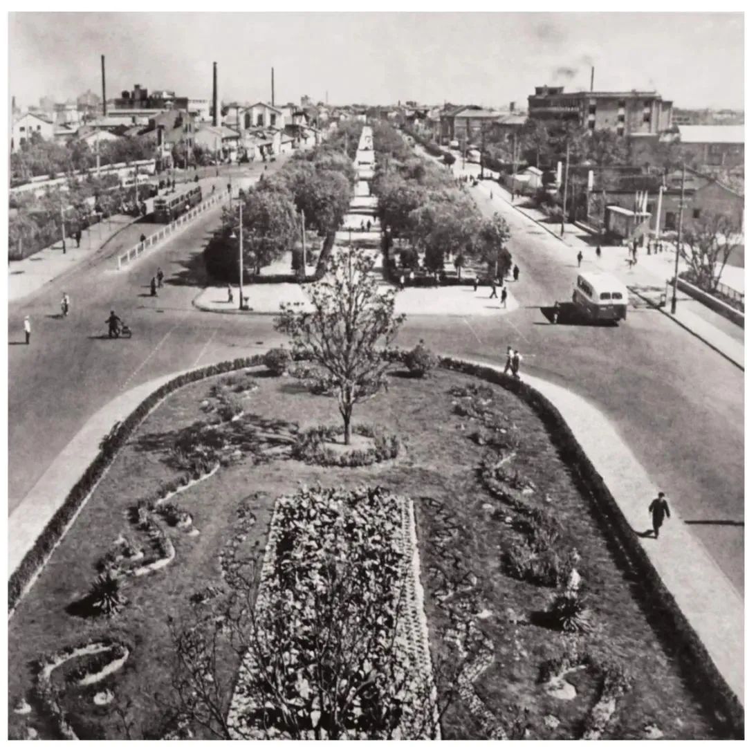 20 世纪 50 年代肇嘉浜填没后，建成林荫大道