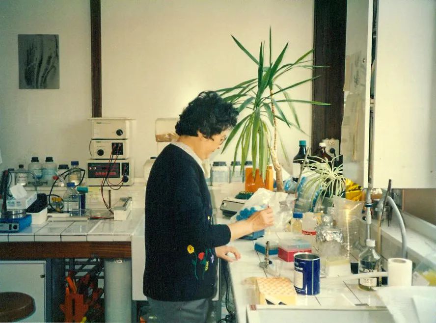1994年，王恩多在中国科学院上海生化所实验室做实验