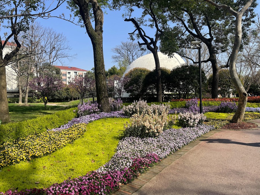 中山公园内种植的当季花卉 &nbsp; 舒抒 摄