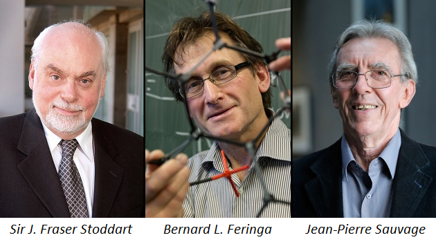 ▲图片来源：RSC; Univ. Groningen; Vincent Kessler/REUTERS