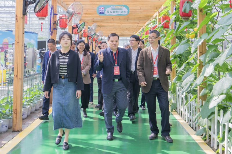 2023年4月28日,两地政协围绕“打造共富联合体 推进浙沪农产品种产销一体化发展”开展毗邻协商活动