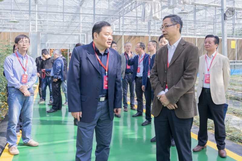 2023年4月28日,两地政协围绕“打造共富联合体 推进浙沪农产品种产销一体化发展”开展毗邻协商活动